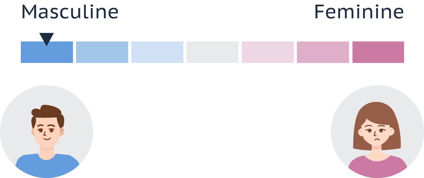 Digital rendering of Datapeople's original gender meter with pictures of a male and female below.