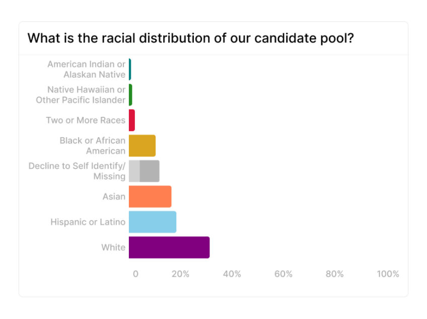 This image shows the diversity report in Datapeople, providing accessible insights based on EEO surveys